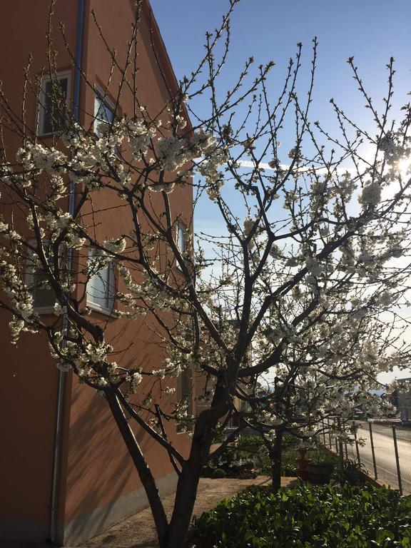 Apartment Nina زادار المظهر الخارجي الصورة